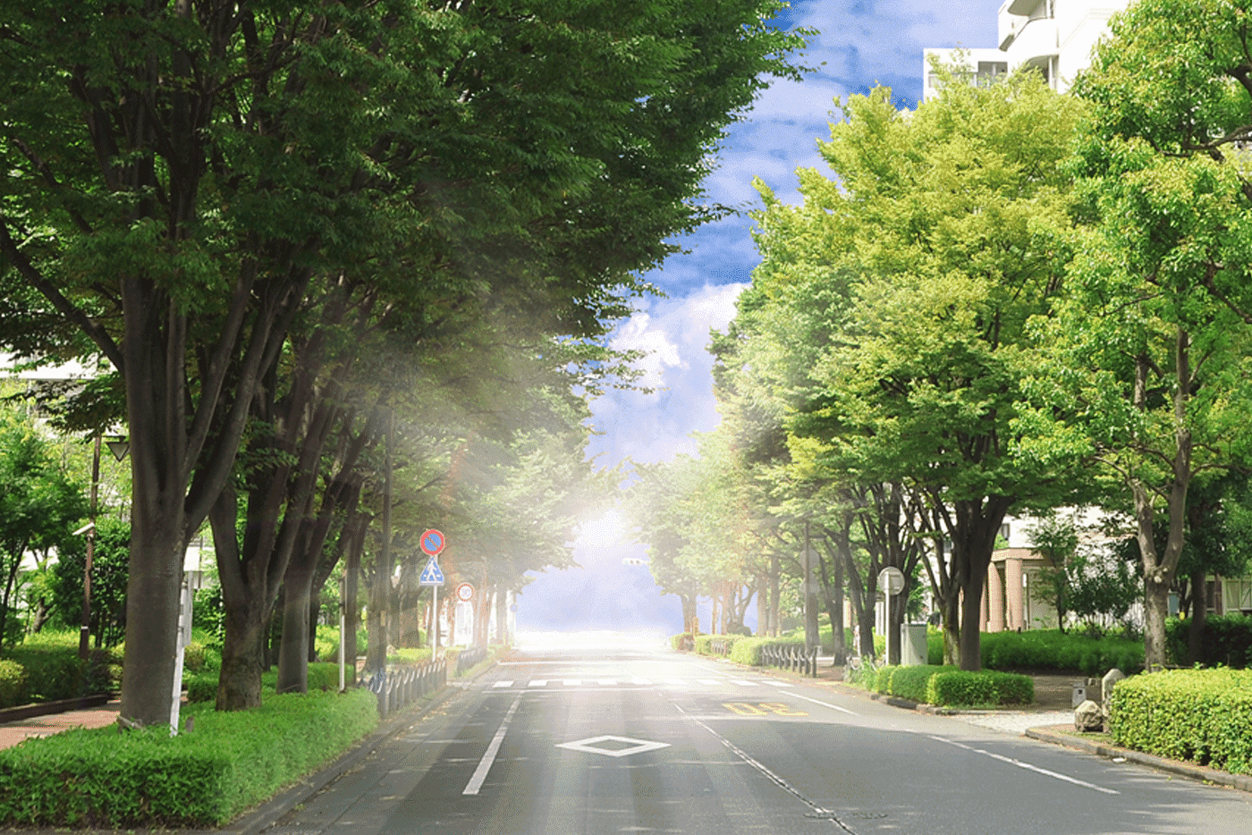 明和地所 クリオレジダンス玉川上水