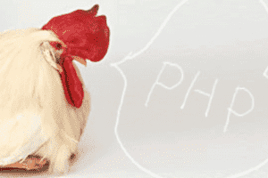 【独習PHP】02_配列 【独習PHP】02_配列