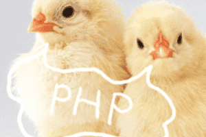 【独習PHP】04_定数