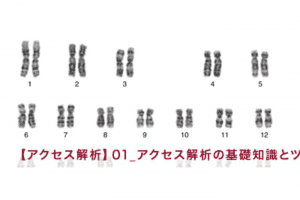 【アクセス解析】01_アクセス解析の基礎知識とツールを知る 【アクセス解析】01_アクセス解析の基礎知識とツールを知る