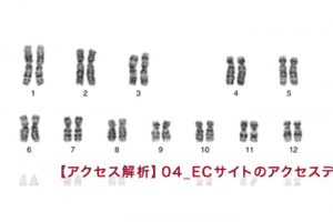 【アクセス解析】04_ECサイトのアクセスデータを読む 【アクセス解析】04_ECサイトのアクセスデータを読む