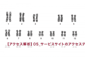 【アクセス解析】05_サービスサイトのアクセスデータを読む 【アクセス解析】05_サービスサイトのアクセスデータを読む