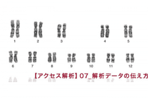 【アクセス解析】07_解析データの伝え方を工夫する 【アクセス解析】07_解析データの伝え方を工夫する