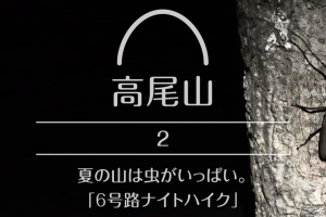【高尾山】#2 夏の山は虫がいっぱい。「6号路ナイトハイク」