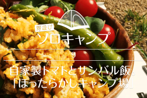 【野遊びソロキャンプ】#9 自家製トマトとサンバル飯「ほったらかしキャンプ場」