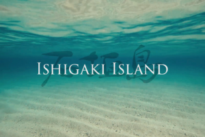 石垣島10日間の旅 石垣島10日間の旅