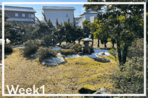 Week1「富山の実家に来てから、日々のアップデート」 Week1「富山の実家に来てから、日々のアップデート」