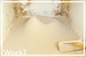 Week7「土が目覚めて蛙が鳴き始めた」