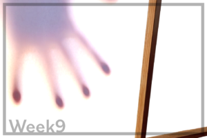 Week9「障子を張り替える癒し映像と、家の中に横から差し込む光」 Week9「障子を張り替える癒し映像と、家の中に横から差し込む光」