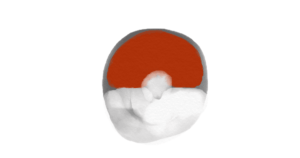 ポケモン空白世代 [noteの過去記事から]