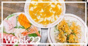 Week22「中華料理屋さんで刺身を食べた翌日は田んぼに鳥が生えている」 Week22「中華料理屋さんで刺身を食べた翌日は田んぼに鳥が生えている」